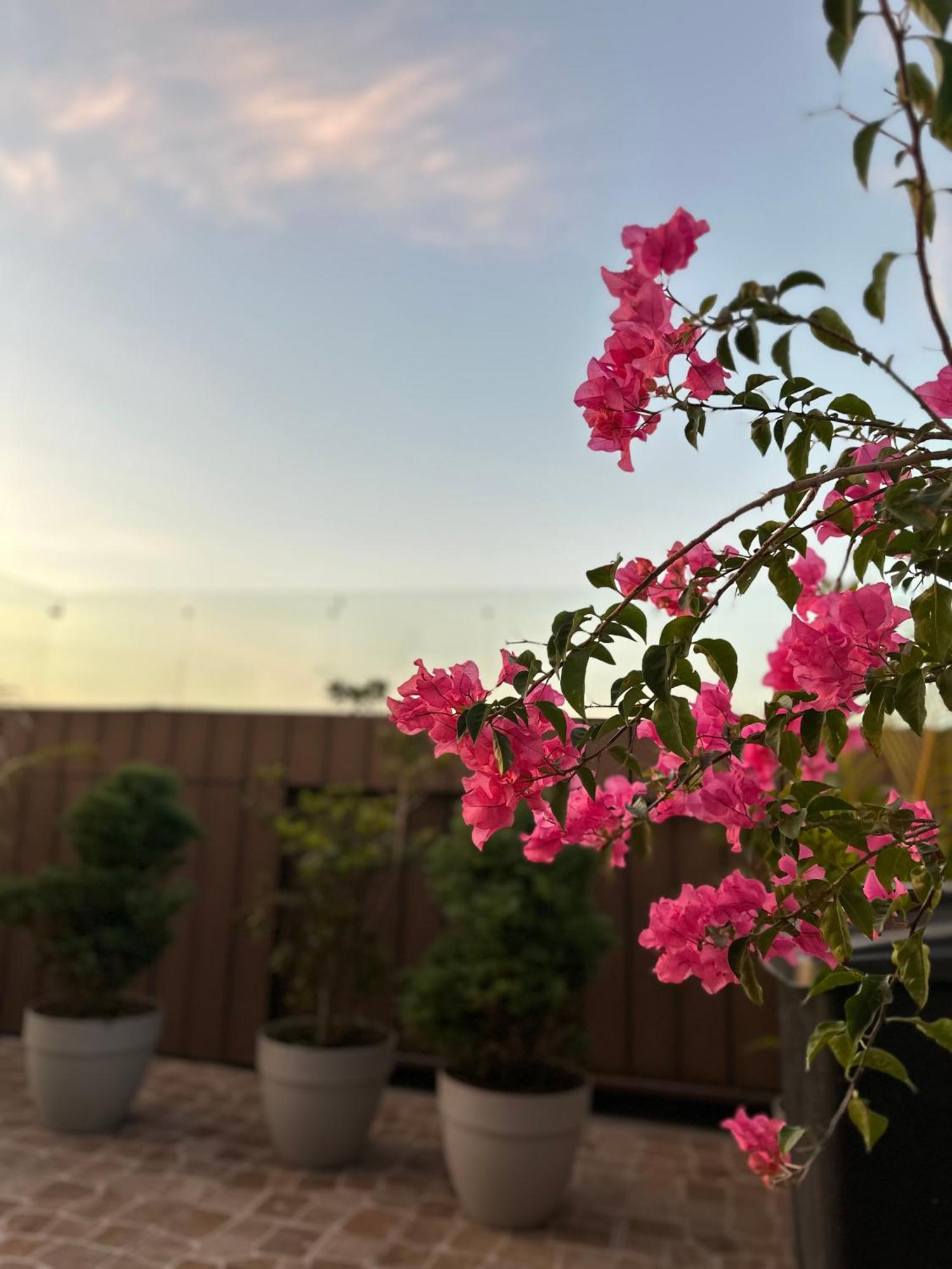 Готель Sky Garden Guatemala City Екстер'єр фото
